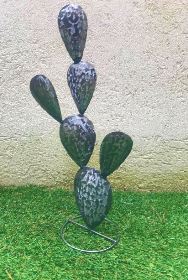 Cactus acier 50 cm
