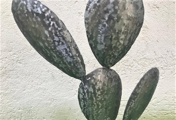 Cactus acier 50 cm