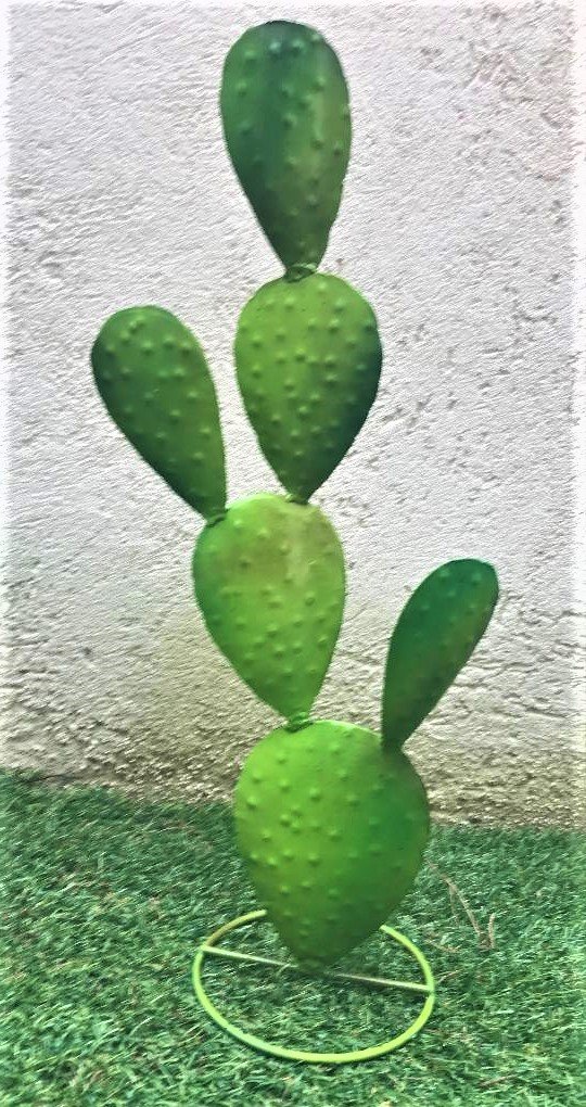 Cactus vert 50 cm