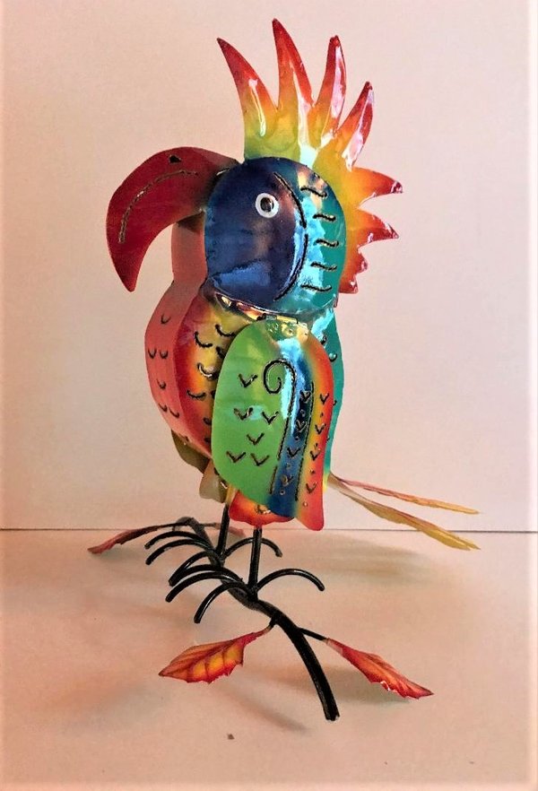 Perroquet multicolore