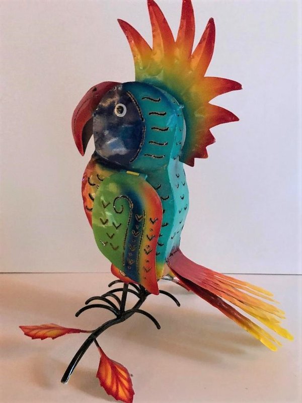 Perroquet multicolore